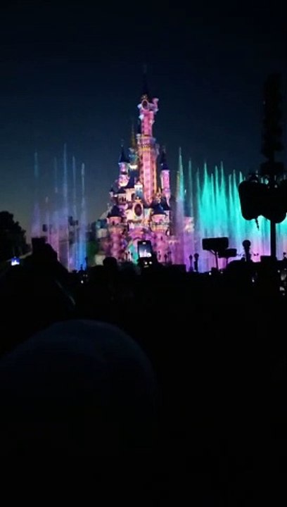 Disney Delight