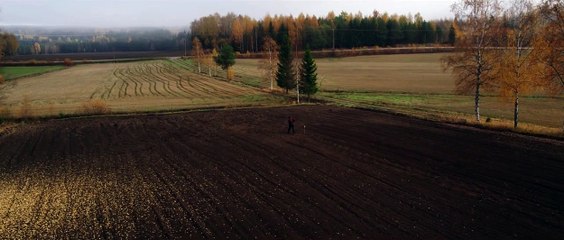 Kaffee mit Milch und Stress Trailer DF