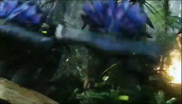 Avatar - Aufbruch nach Pandora Videoauszug (9) DF