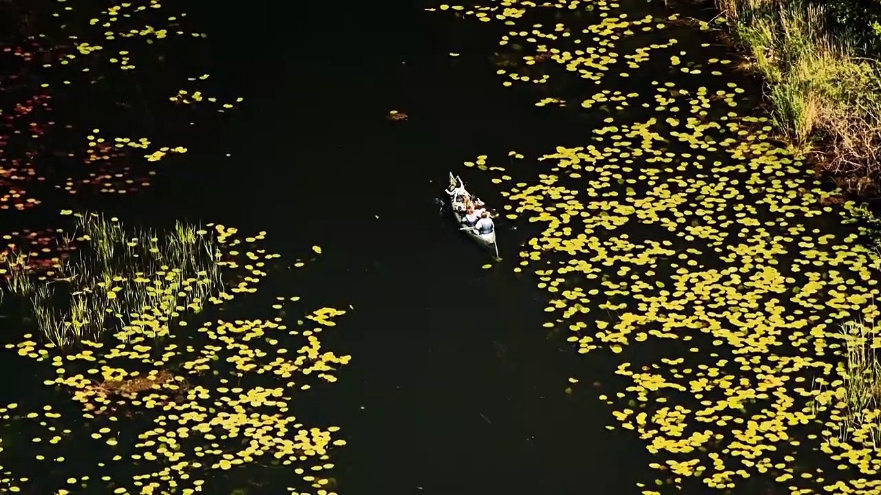 Berlin und Brandenburg von oben Trailer DF