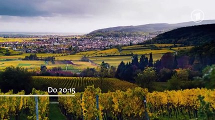 Frauchen und die Deiwelsmilch Trailer DF