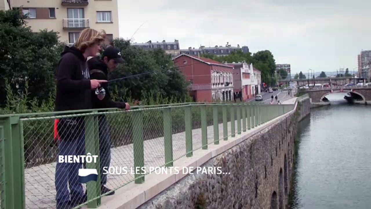 Sous les ponts de Paris