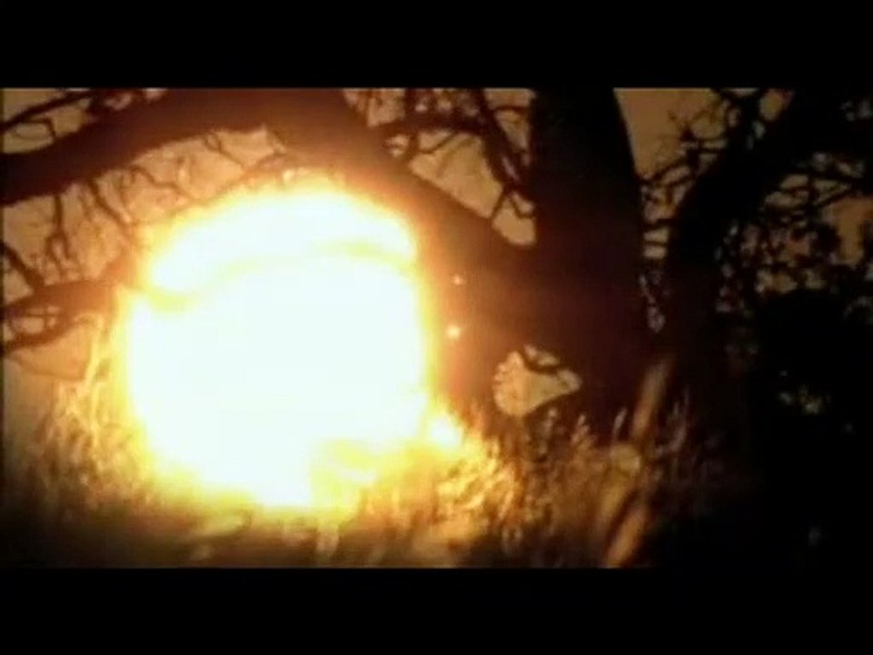 Der weisse Löwe Trailer DF