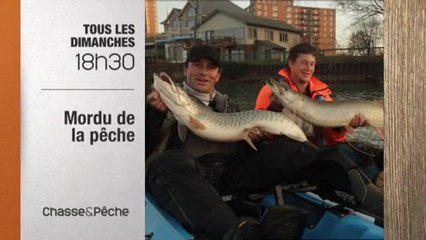 Mordu de la pêche - chaque dimanche