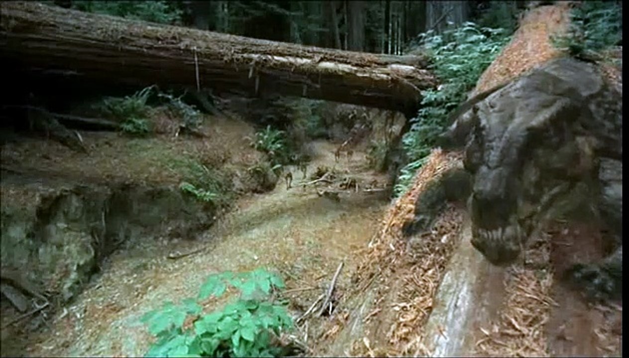 Dinosaurier Live 3D - Fossilien zum Leben erweckt Trailer DF