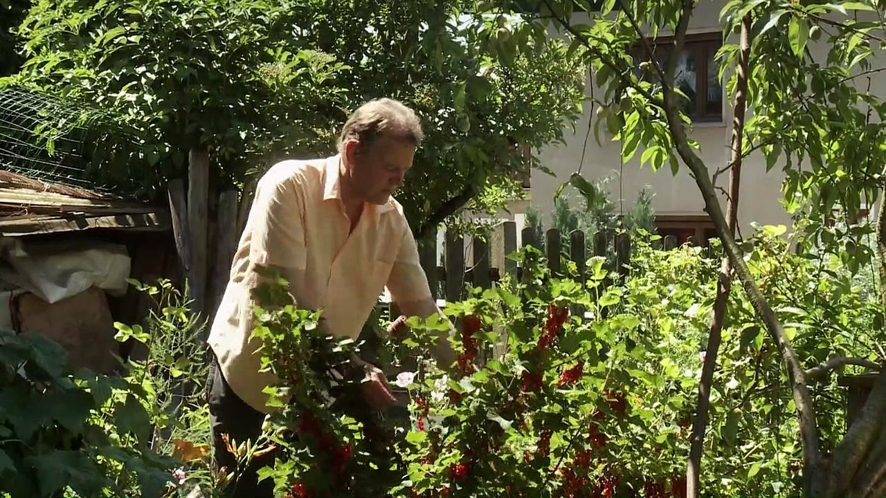 Die Wirklichkeit kommt Trailer DF