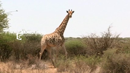 Echappées belles - Namibie - F3 - 26 12 15