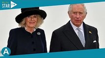 [AS]  Charles et Camilla : leur fils caché supposé s'adresse directement à la reine Elizabeth !