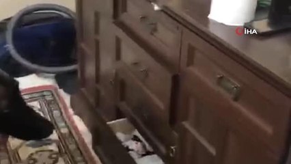 'Brego' uyuşturucuya geçit vermiyor... Gözaltına alınan 5 kişiden 2'si tutuklandı