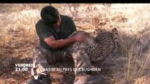Chasse au pays des Bushmen