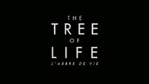 tree of life bande-annonce