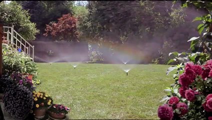 Liebe und andere Kleinigkeiten Trailer (2) OV