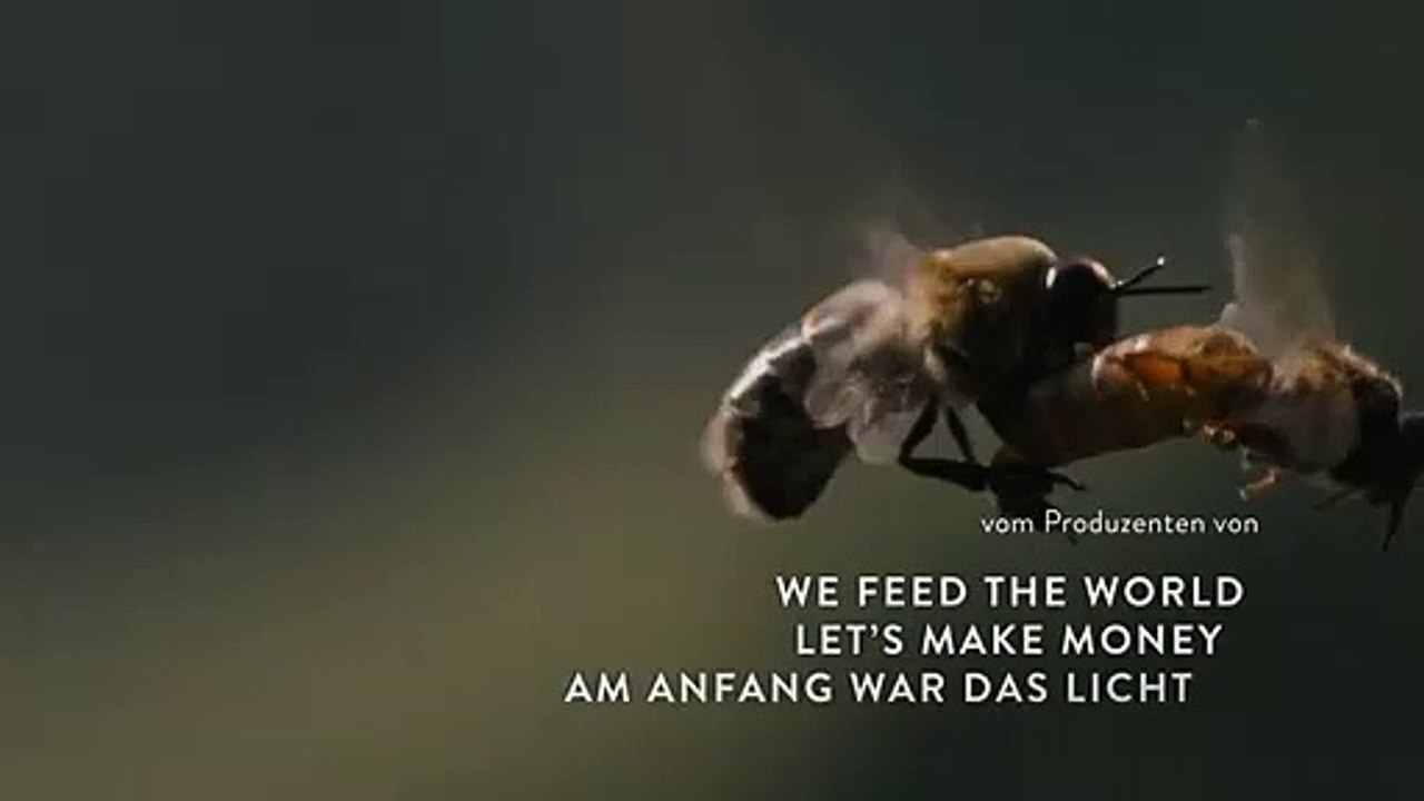 More than Honey Trailer (2) DF