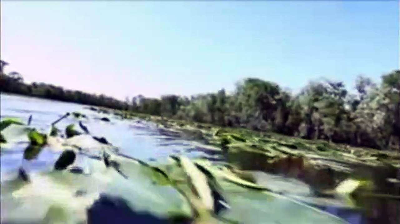 Creature - Die Legende vom Monster aus dem Sumpf Trailer DF