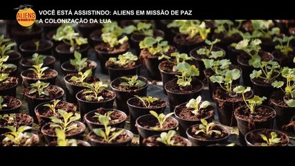 PRIMEIROS DIAS NA LUA COLONIZAÇÃO - CAMINHO PARA MARTE 2022