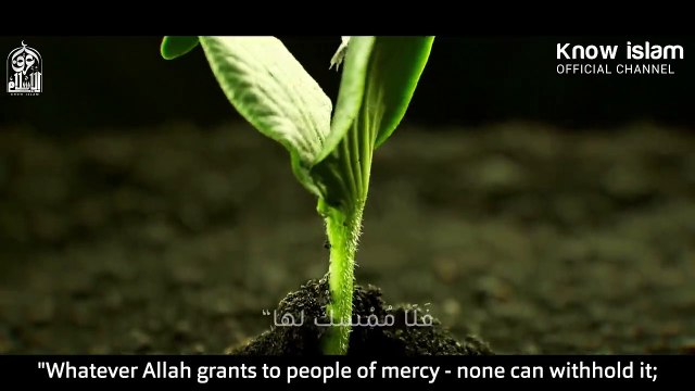 أربعُ آيات تجلب لك الطمأنينة في حياتك د. محمد سعود الرشيدي