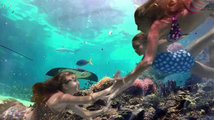 Für immer Meerjungfrau - Es gibt sie wirklich Trailer (2) OV