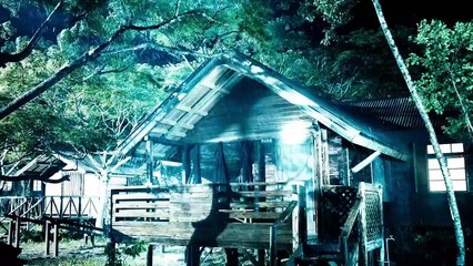 Aibou Gekijo-ban III Trailer OV