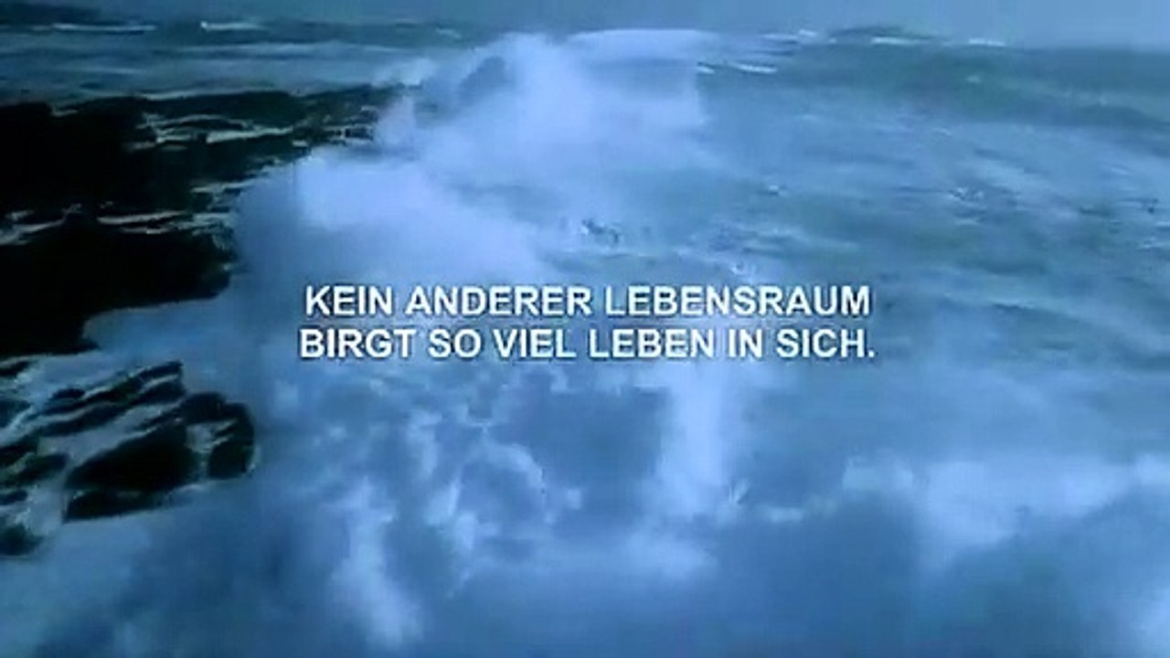 Deep Blue Trailer DF