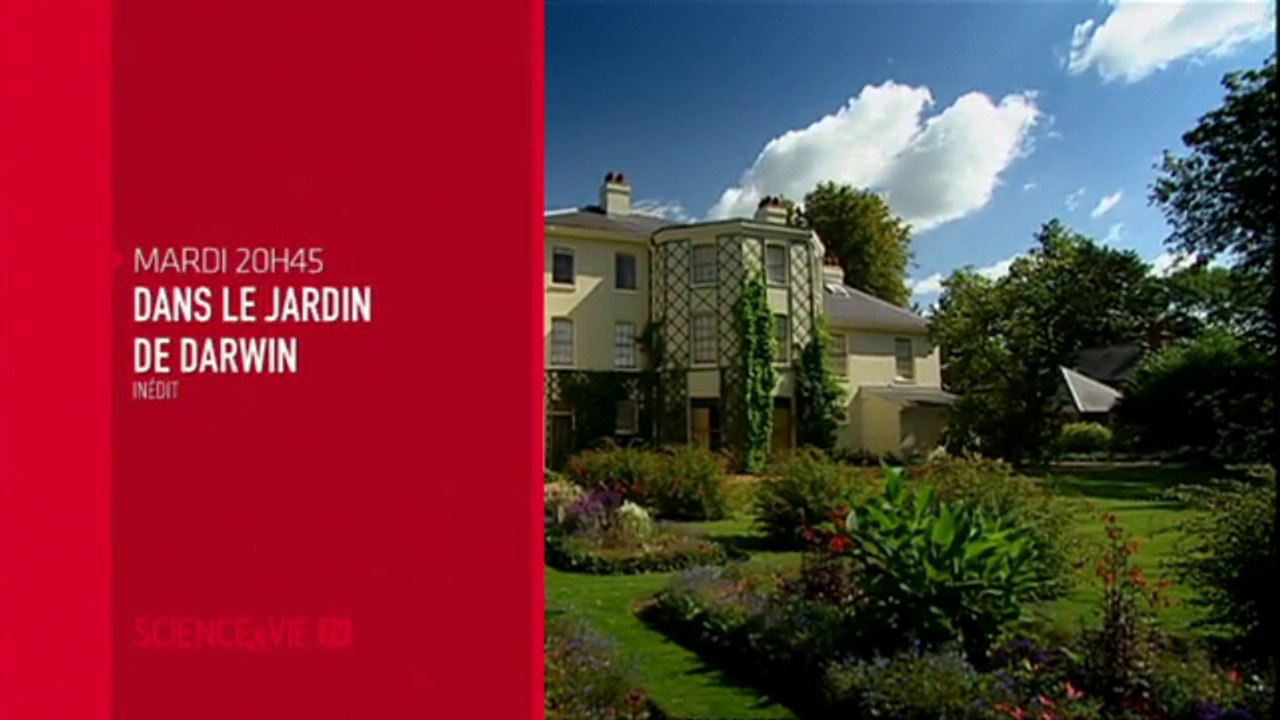 Dans le jardin de Darwin - chaque mardi