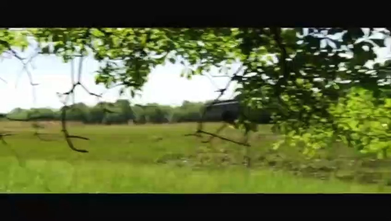 Rites of Spring Trailer DF