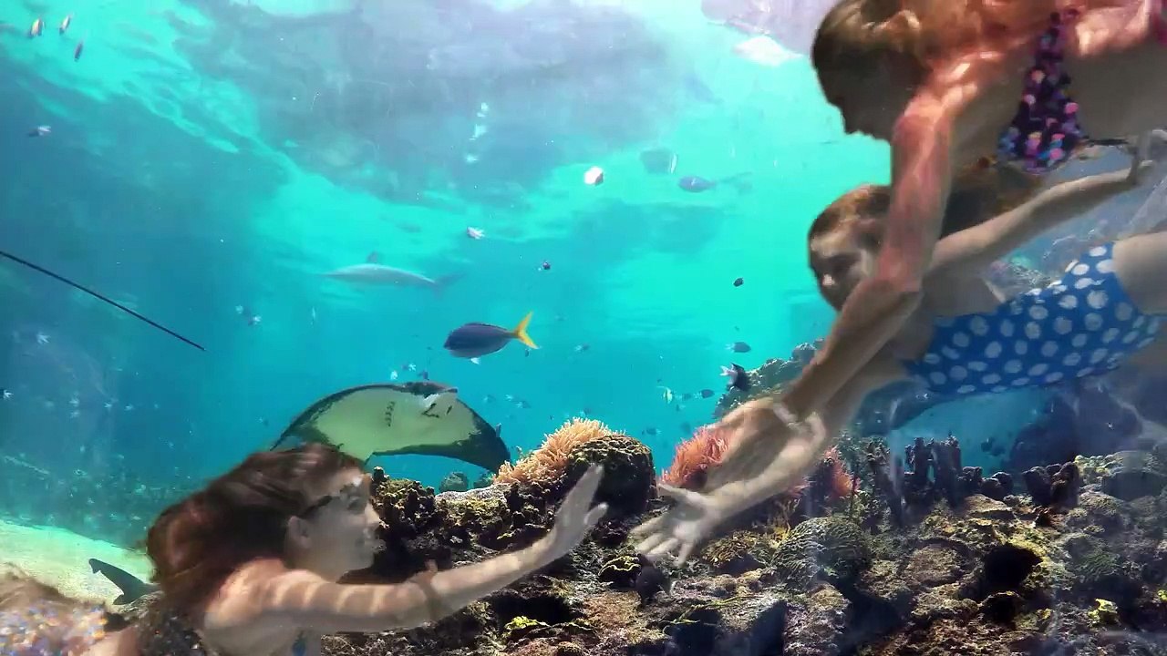 Für immer Meerjungfrau - Es gibt sie wirklich Trailer DF