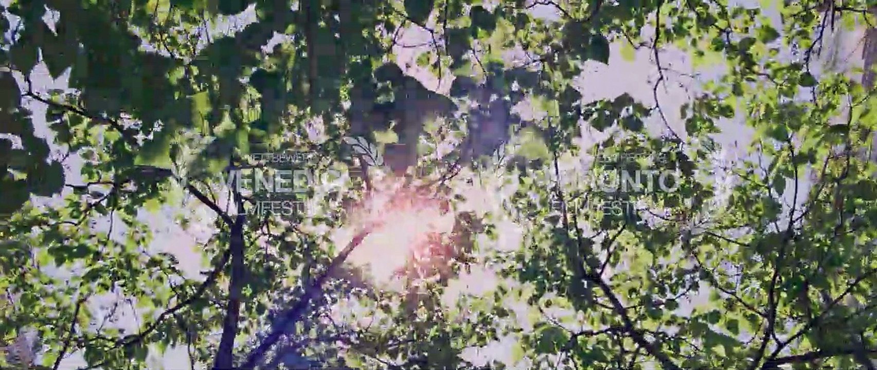 To The Wonder Trailer DF