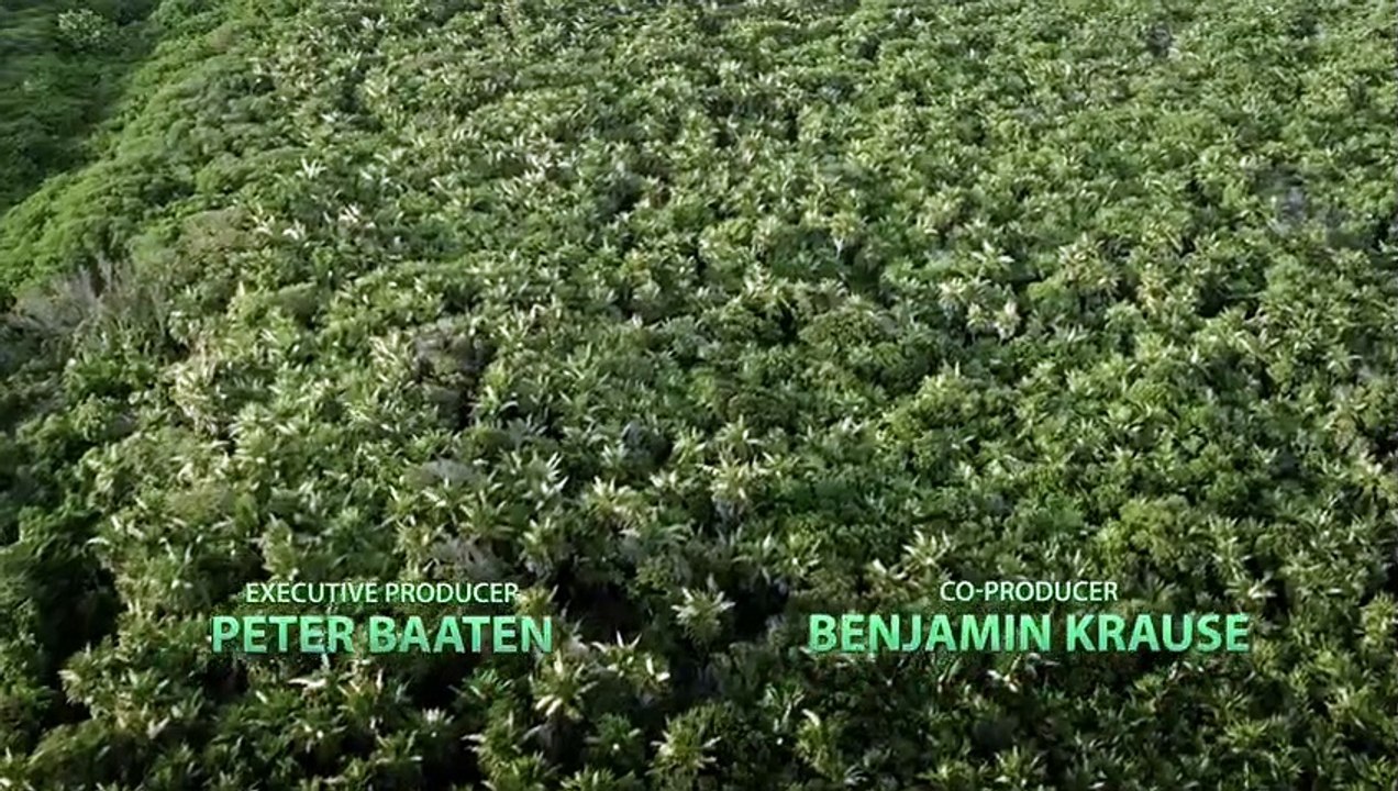 Verborgene Welten 3D - Die Höhlen der Toten Trailer DF