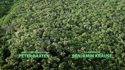 Verborgene Welten 3D - Die Höhlen der Toten Trailer DF