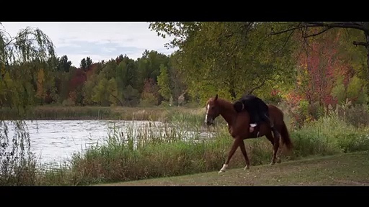 Der Mann hinter der Maske Trailer OV