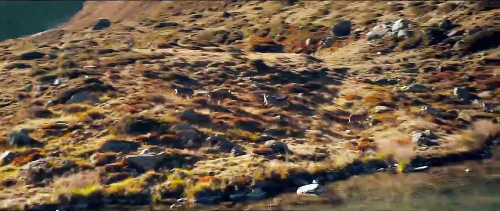 Schellen-Ursli Teaser OV