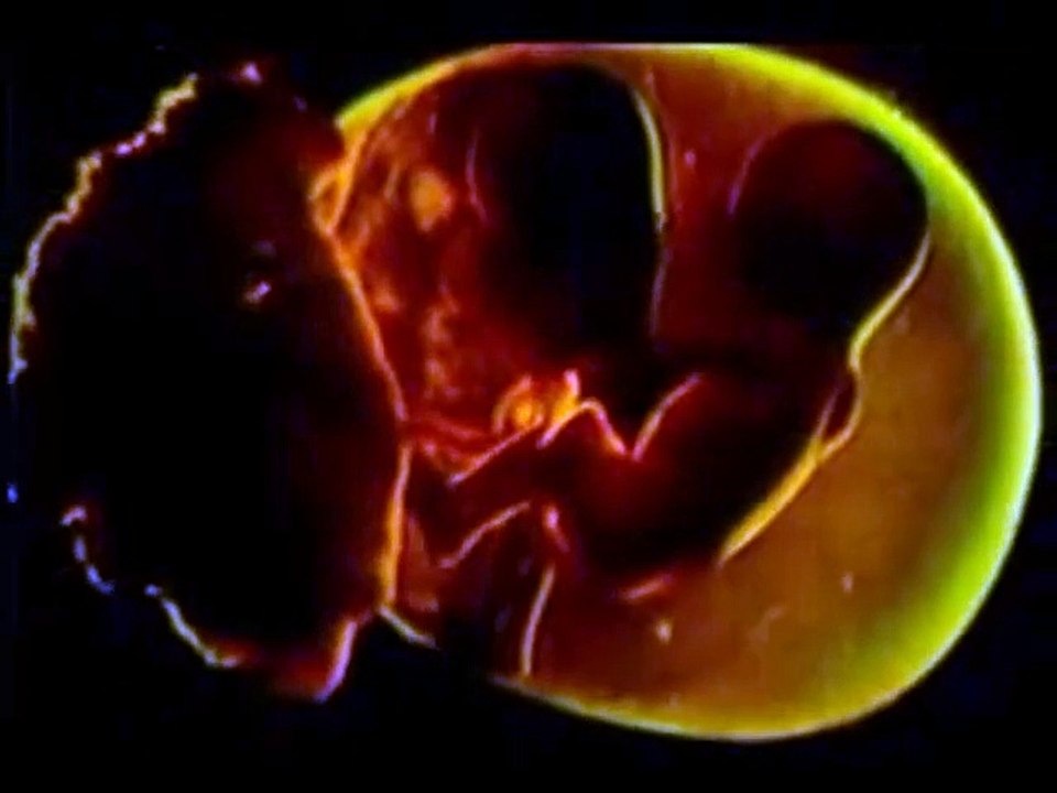 Die Schwestern des Bösen Trailer OV