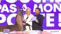 Zapping hebdo : Bernard le lama dans Touche pas à mon poste