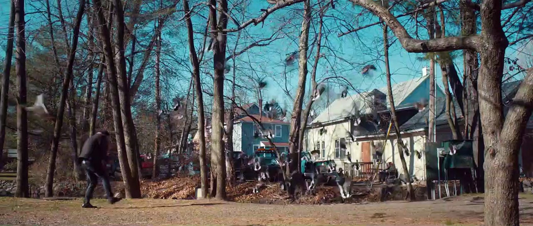 The Skeleton Twins Trailer DF