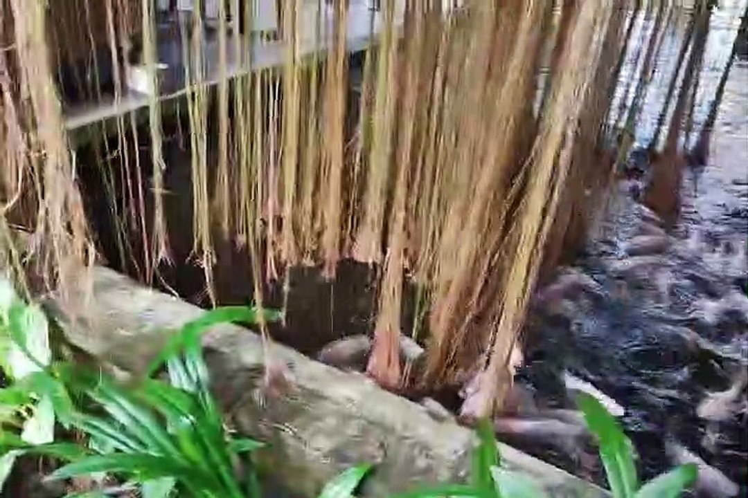 Makan pagi