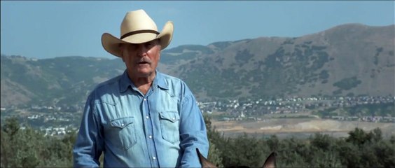 Wild Horses Trailer OV