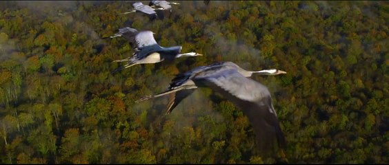 Unsere Wildnis Trailer (2) DF