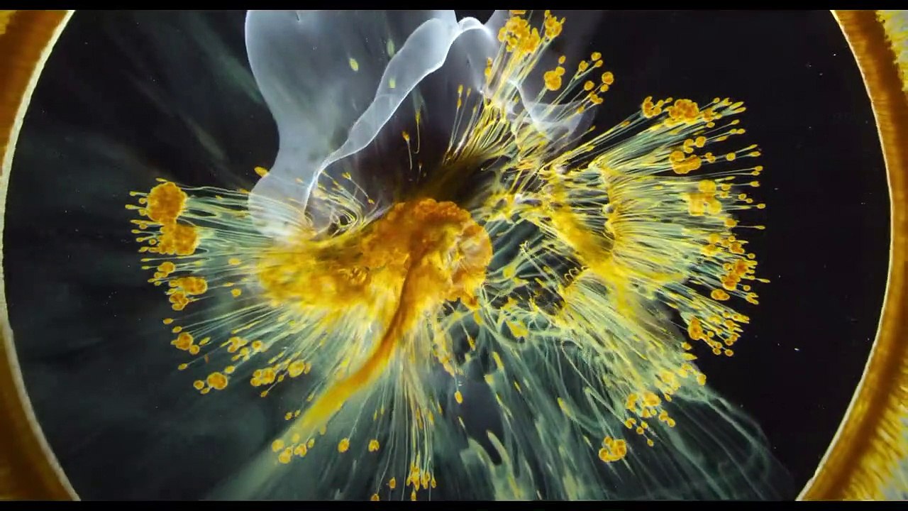 Voyage of Time: Life's Journey Trailer DF