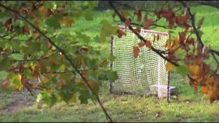 The Medicine Game Trailer OV