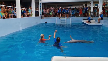 Mein Freund, der Delfin 2 Trailer (2) OV