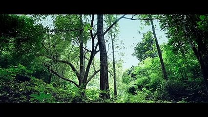 The Monster Trailer OV