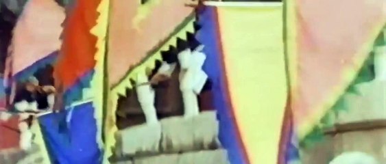 Die Zwillingsbrüder von Bruce Lee Trailer OV