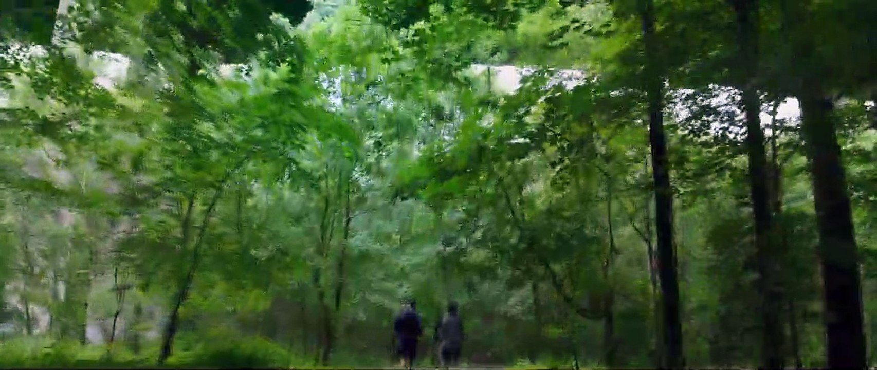 The Signal Trailer DF