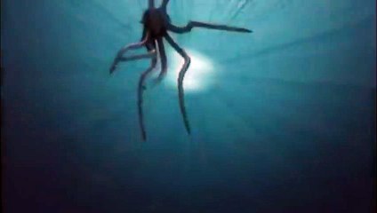 Sharktopus Versus Pteracuda Videoauszug OV