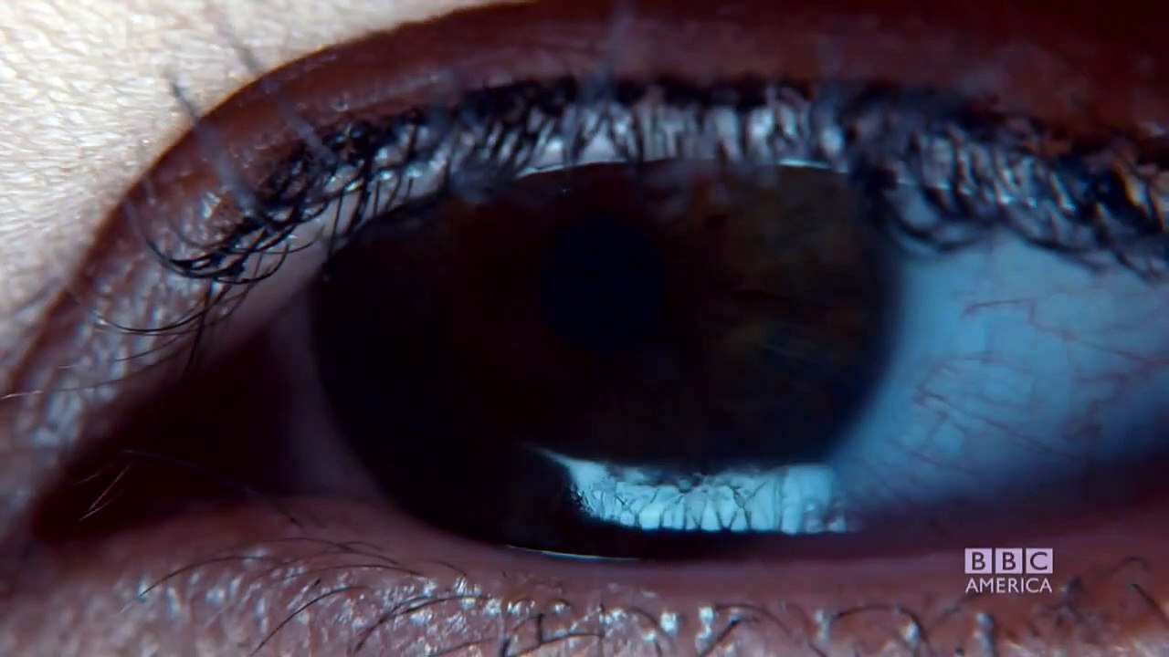 Orphan Black - staffel 4 Teaser OV