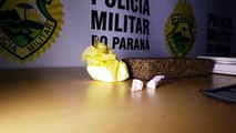 Após denúncias de ameaças, PM detém jovem suspeita por tráfico de drogas