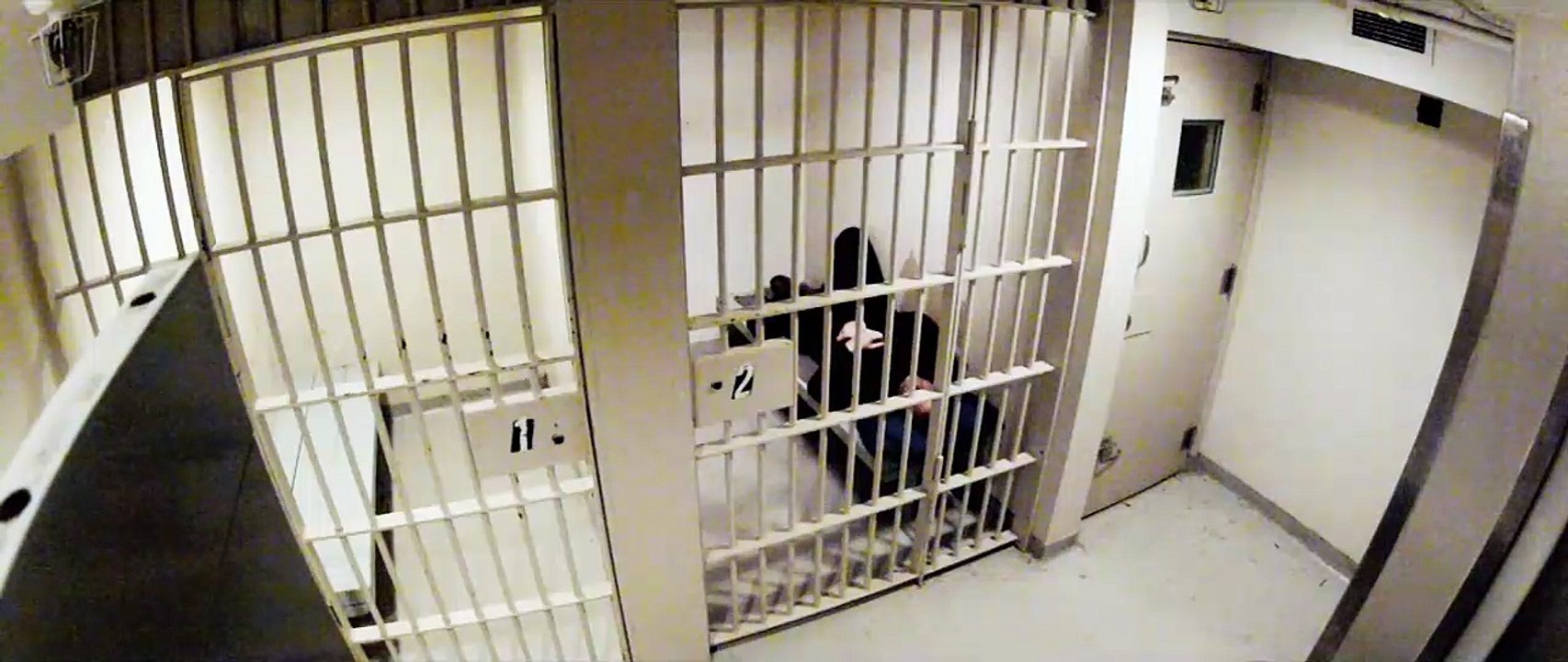 The Custody Trailer OV