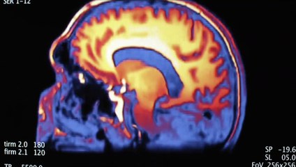 Swans - Hunger nach Leben Trailer OV