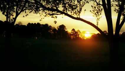 Das wundersame Leben von Timothy Green Trailer (2) OV