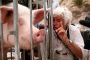 Interview de Jean-Jacques Annaud pour la sortie DVD de Sa majesté Minor